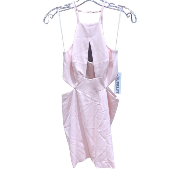 JAYGODFREY Dresses & Skirts - NWT Jay Godfrey Blush Pink Cutout Mini Dress Sz 2
